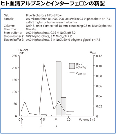ヒト血清アルブミンとインターフェロンの精製
