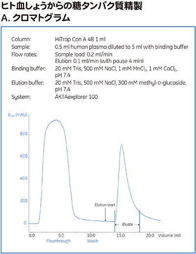 ヒト血しょうからの糖タンパク質精製　A. クロマトグラム