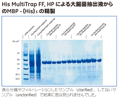 His MultiTrap™ FF, HPによる大腸菌抽出液からのMBP-（His）<sub>6</sub>の精製