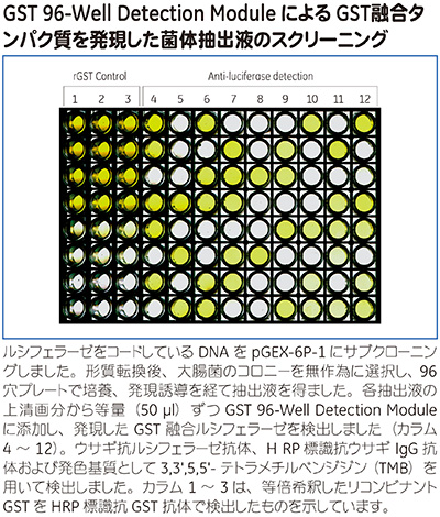 GST 96-Well Detection Moduleによるスクリーニング例