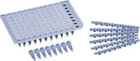 puRe Taq Ready-To-Go™ PCR Beads