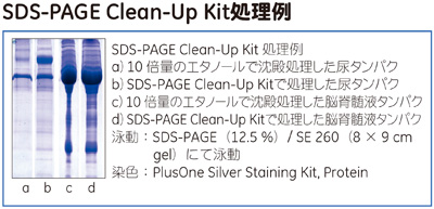  SDS-PAGE Clean-Up Kit処理例 