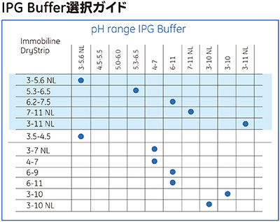 IPG Buffer選択ガイド<br><br><b>※IPG Buffer製品名変更</b><br>pH 3.5-5.0 →pH 3-5.6 NL<br>pH 5.5-6.7 →pH 5.3-6.5