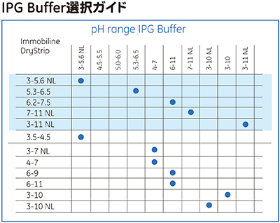 IPG Buffer選択ガイド<br><br><b>※IPG Buffer製品名変更</b><br>pH 3.5-5.0 →pH 3-5.6 NL<br>pH 5.5-6.7 →pH 5.3-6.5 IPG Buffer選択ガイド<br><br><b>※IPG Buffer製品名変更</b><br>pH 3.5-5.0 →pH 3-5.6 NL<br>pH 5.5-6.7 →pH 5.3-6.5