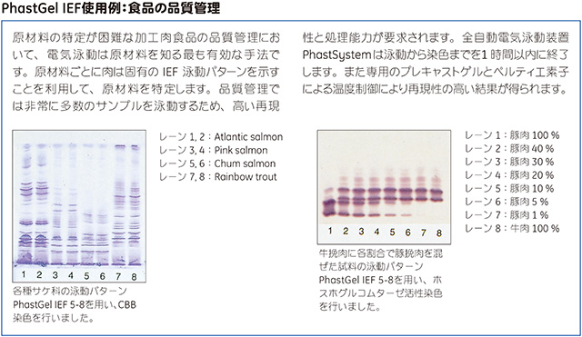 PhastGel™ IEF使用例：食品の品質管理