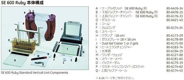 SE 600 Ruby 本体構成