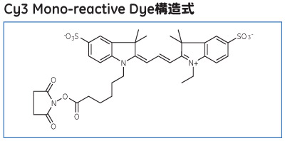 Cy3 Mono-reactive Dye構造式