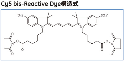 Cy5 bis-Reactive Dye構造式