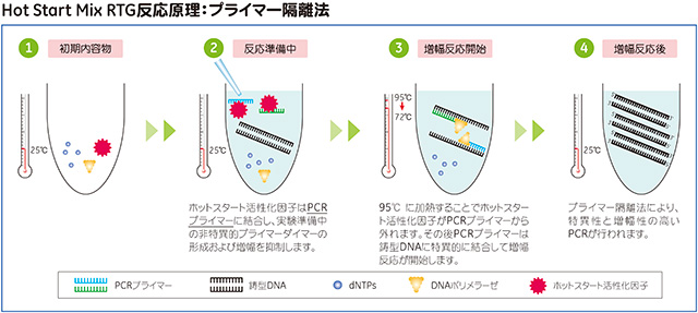 Hot Start Mix RTG™反応原理：プライマー隔離法