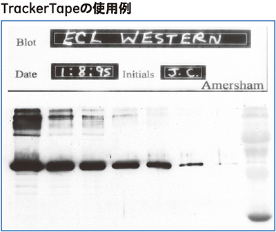 TrackerTapeの使用例 TrackerTapeの使用例