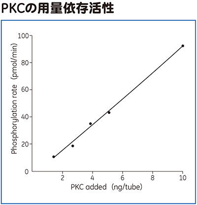 PKCの用量依存活性