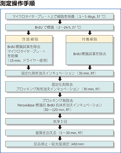測定操作手順 測定操作手順