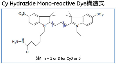 Cy Hydrazide Mono-reactive Dye構造式