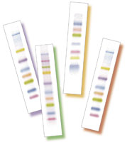 Amersham™ Rainbow™ Molecular Weight Markers