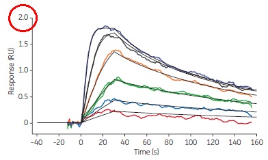 Biacore™ 8K/8K+による高感度測定： 図はthrombinの固定化量を極限まで減らし、添加分子melagatran（MW 429.5 Da）とのカイネティクスを解析したデータ（10 Hz測定）を示しました。2.0RUの低いレスポンスでも検出可能でした。