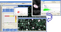 Multi Target Analysisによるポピュレーション解析例