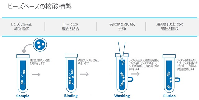 ビーズベースの核酸精製