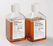 Donor Adult Bovine Serum, US Origin