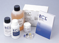 ECL™ Direct Nucleic Acid Labelling and Detection System