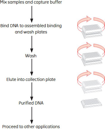 GFX™ 96 PCR Purification Kit