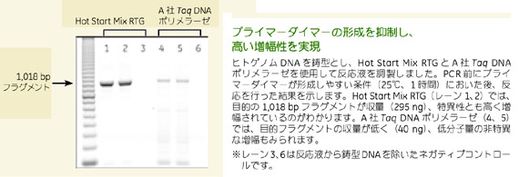 プライマー隔離法によりPCR開始前のポリメラーゼ活性を90%以上阻害