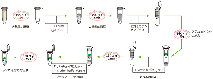 精製の流れ