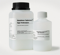 Glutathione Sepharose™ High Performance