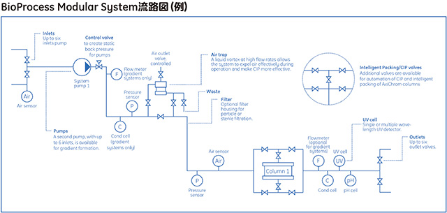 BioProcess™ Modular System流路図（例）