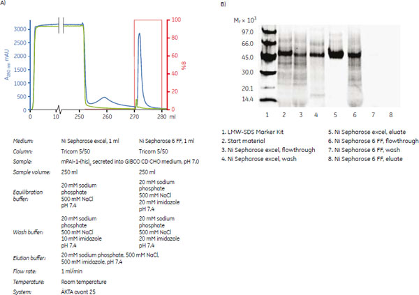 CHO細胞より分泌されたHis-tagタンパク質を含む培養上清からの精製（Ni Sepharose™ excelとNi Sepharose™ 6 Fast Flowとの比較）