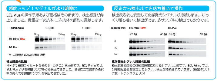 ECL™ Primeの特長 （ECL™ Plusとの比較）