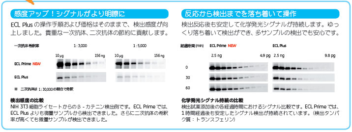 ECL™ Primeの特長 (ECL™ Plusとの比較) ECL™ Primeの特長 (ECL™ Plusとの比較)