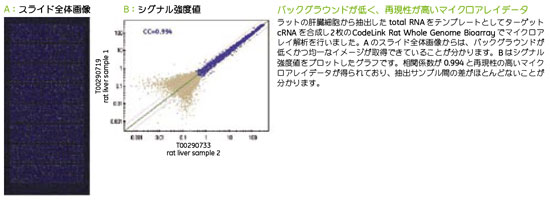 RNAspinで精製した精製産物でマイクロアレイを行いました RNAspinで精製した精製産物でマイクロアレイを行いました