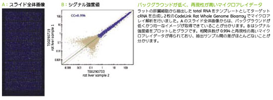 RNAspinで精製した精製産物でマイクロアレイを行いました