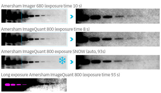 バンドのノイズ低減_ImageQuant800 SNOWモード