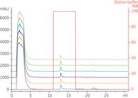 同一のStrepTrap™ HP 1 mlカラムでGAPDH-<i>Strep</i> -tag IIを精製したときのクロマトグラム