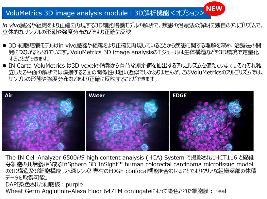 VoluMetrics1