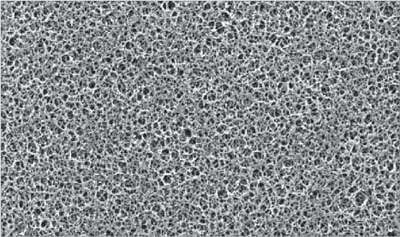 Regenerated Cellulose Membrane(Type RC 55, 0.45 μm)<br>Electron Micrograph(Magnification 1000x)