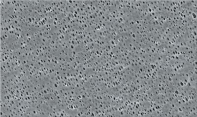 Polyamide Membrane (Type NL 17, 0.45 μm)<br>Electronic Micrograph (Magnification 1000x)