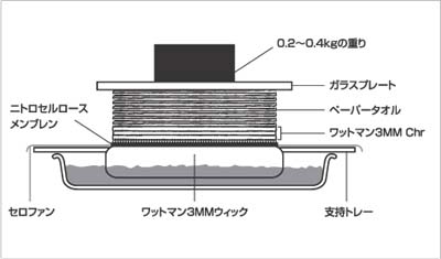 3MM Chrを用いたブロッティングのセッティング