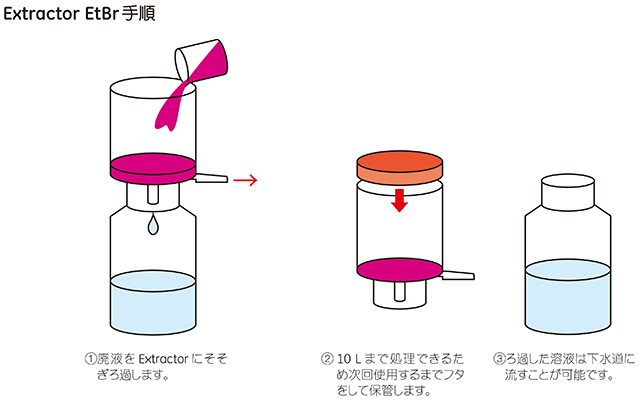Extractor EtBr手順 Extractor EtBr手順
