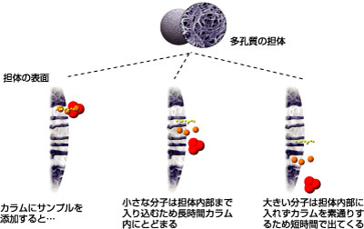 カラム クロマト グラフィー 原理