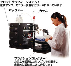 システムを用いる方法