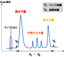 図1. ゲルろ過クロマトグラフィーの溶出パターン（クロマトグラム）