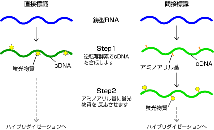 直接標識および間接標識の標識手順の違い