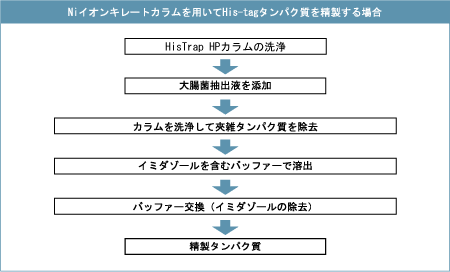 His-tagタンパク質の精製手順