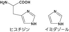 構造が似ているヒスチジンとイミダゾール