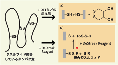 従来法とDeStreakの比較