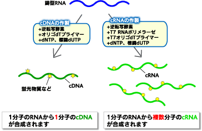 ターゲット調製の図