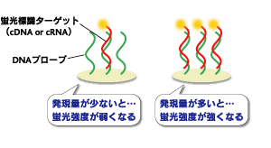 定量の図