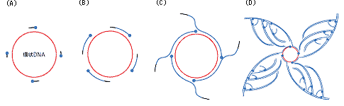 反応の模式図